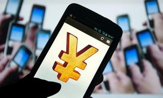 互聯(lián)網(wǎng)支付 心跳加速的便利，網(wǎng)絡(luò)與信息安全軟件開(kāi)發(fā)的守護(hù)之道